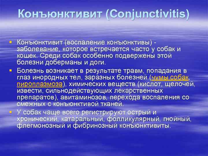 Конъюнктивит (Conjunctivitis) § Конъюнктивит (воспаление конъюнктивы) заболевание, которое встречается часто у собак и кошек.