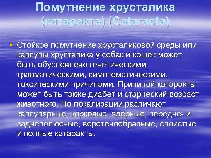 Помутнение хрусталика (катаракта) (Cataracta) § Стойкое помутнение хрусталиковой среды или капсулы хрусталика у собак