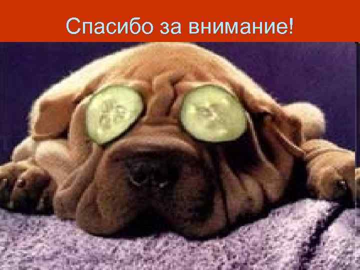 Спасибо за внимание! 