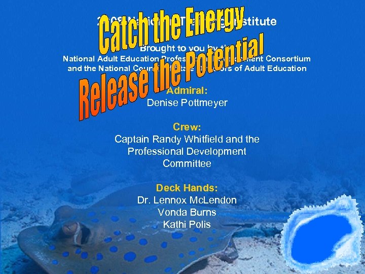 2008 National Training Institute Brought to you by the National Adult Education Professional Development