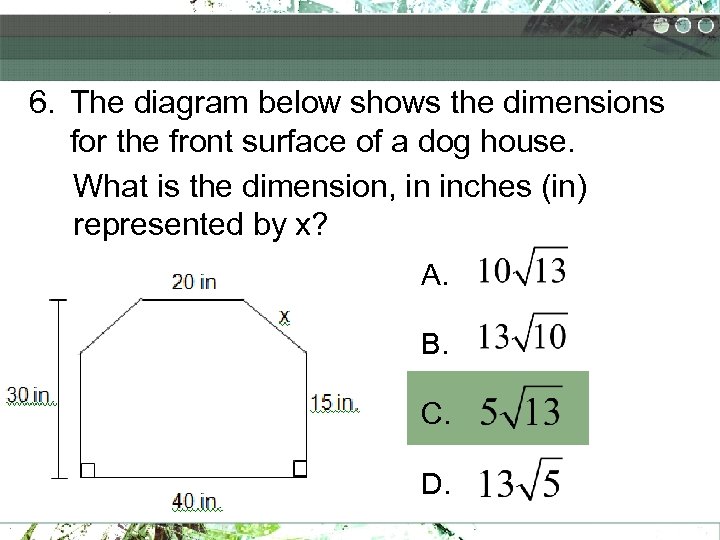 6. The diagram below shows the dimensions for the front surface of a dog