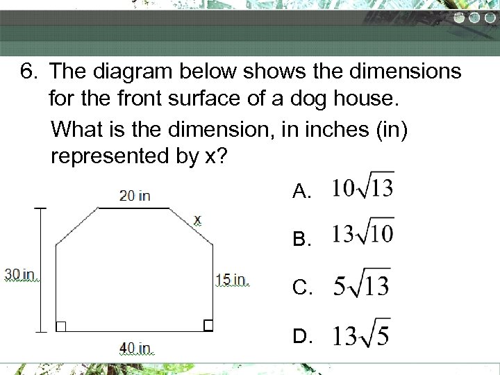 6. The diagram below shows the dimensions for the front surface of a dog