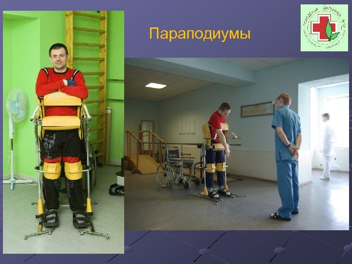 Параподиумы 