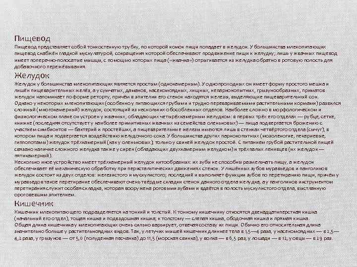 Пищевод представляет собой тонкостенную трубку, по которой комок пищи попадает в желудок. У большинства