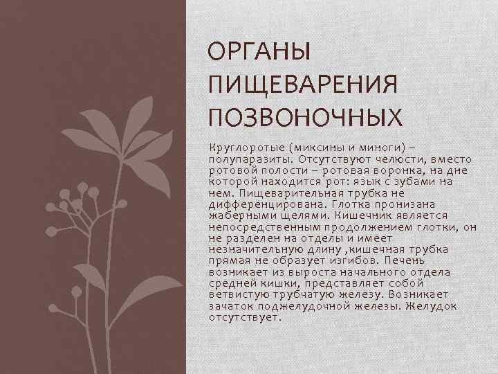 ОРГАНЫ ПИЩЕВАРЕНИЯ ПОЗВОНОЧНЫХ Круглоротые (миксины и миноги) – полупаразиты. Отсутствуют челюсти, вместо ротовой полости