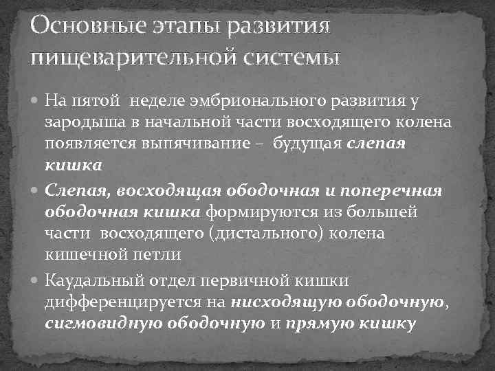 Основные этапы развития пищеварительной системы На пятой неделе эмбрионального развития у зародыша в начальной
