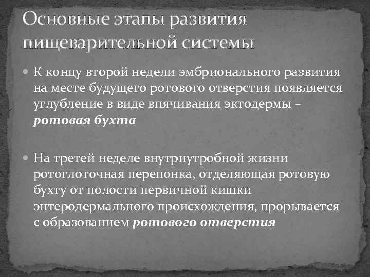 Основные этапы развития пищеварительной системы К концу второй недели эмбрионального развития на месте будущего