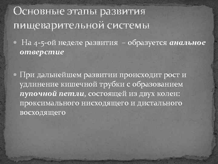 Основные этапы развития пищеварительной системы На 4 -5 -ой неделе развития – образуется анальное