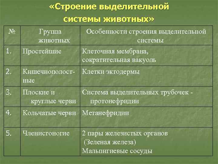  «Строение выделительной системы животных» № 1. Группа животных Простейшие Особенности строения выделительной системы