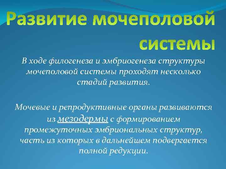 В ходе филогенеза и эмбриогенеза структуры мочеполовой системы проходят несколько стадий развития. Мочевые и