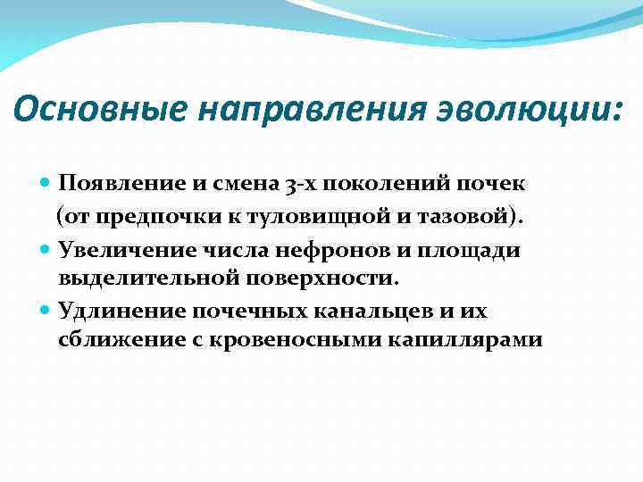 Основные направления эволюции: Появление и смена 3 -х поколений почек (от предпочки к туловищной