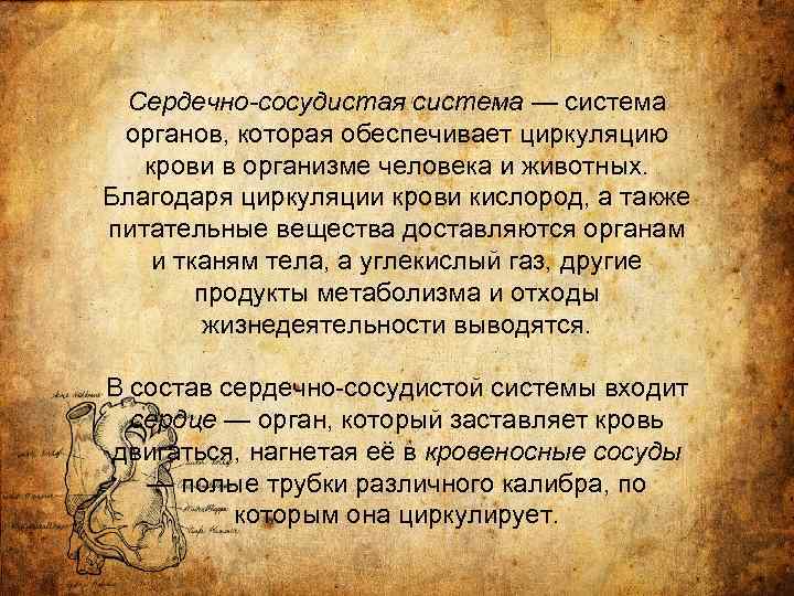 Сердечно-сосудистая система — система органов, которая обеспечивает циркуляцию крови в организме человека и животных.