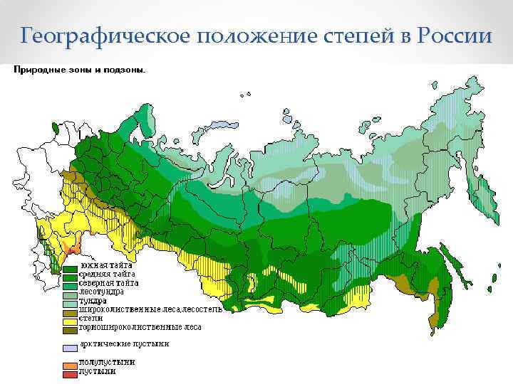 Географическое положение степей в России 