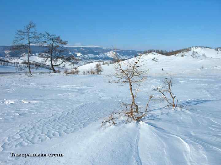 Тажеранская степь 