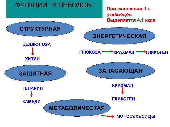 ФУНКЦИИ УГЛЕВОДОВ При окислении 1 г углеводов Выделяется 4, 1 ккал СТРУКТУРНАЯ ЭНЕРГЕТИЧЕСКАЯ ЦЕЛЛЮЛОЗА