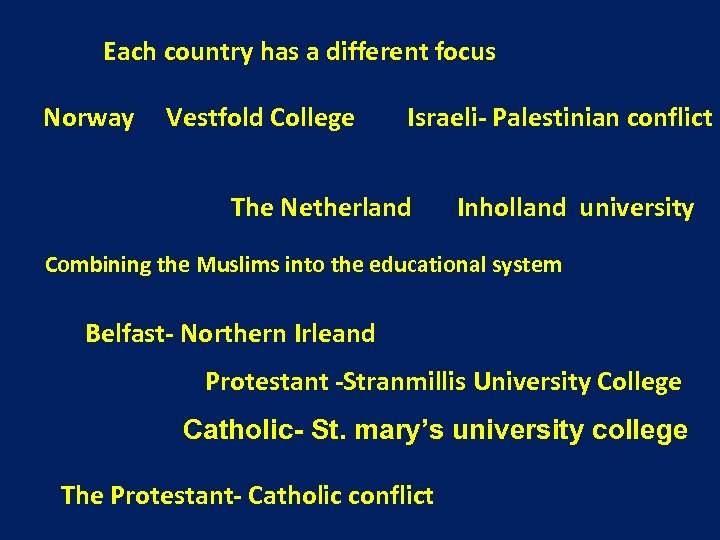 Each country has a different focus Norway Vestfold College Israeli- Palestinian conflict The Netherland