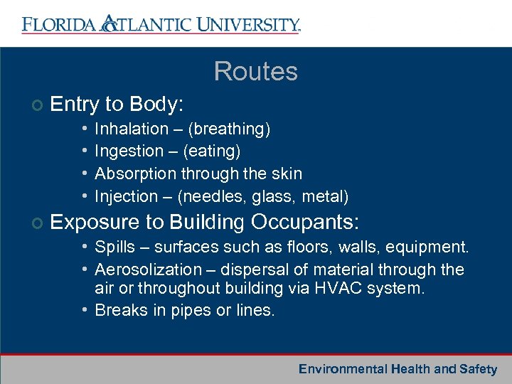 Routes ¢ Entry to Body: • • ¢ Inhalation – (breathing) Ingestion – (eating)