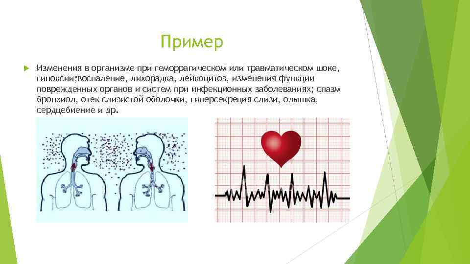 Пример Изменения в организме при геморрагическом или травматическом шоке, гипоксии; воспаление, лихорадка, лейкоцитоз, изменения