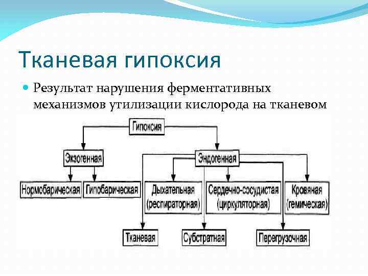 Гистотоксическая гипоксия