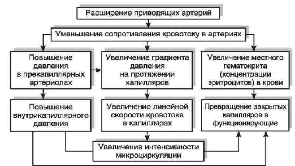 Артериальная гиперемия патофизиология презентация