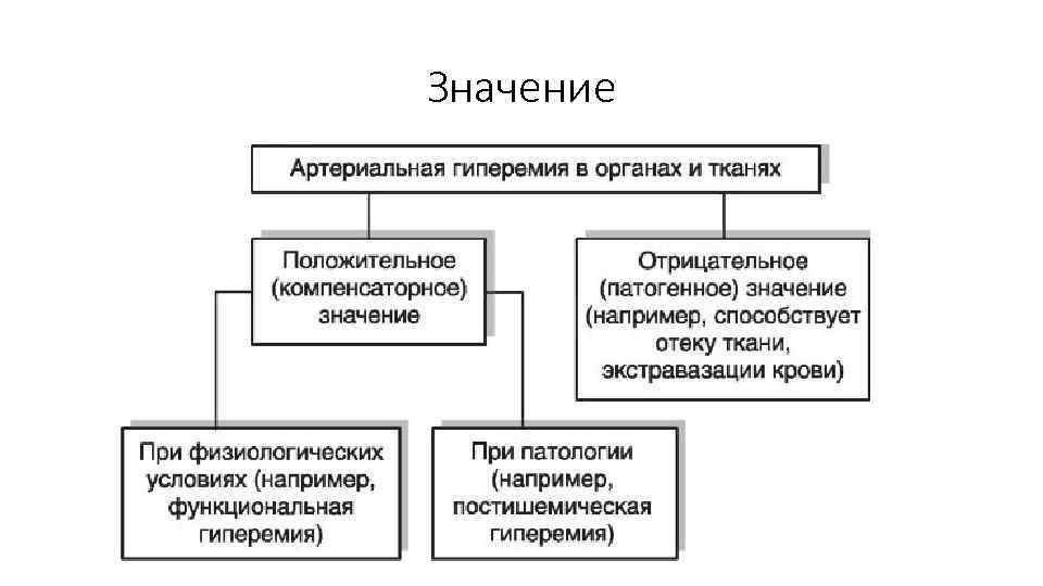 Виды гиперемии схема