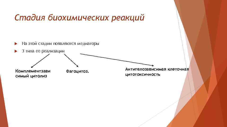 Стадия биохимических реакций На этой стадии появляются медиаторы 3 типа ее реализации Комплементзави симый