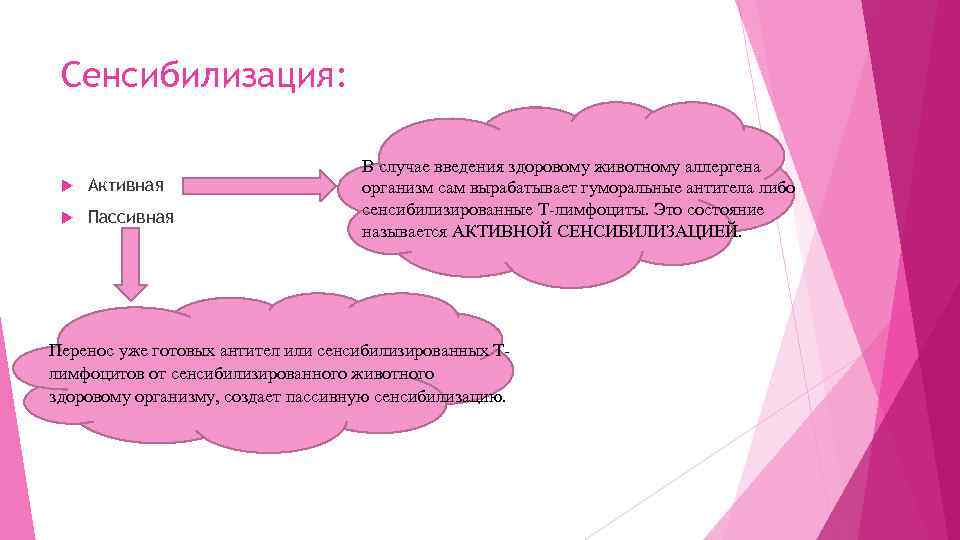 Сенсибилизация: Активная Пассивная В случае введения здоровому животному аллергена организм сам вырабатывает гуморальные антитела