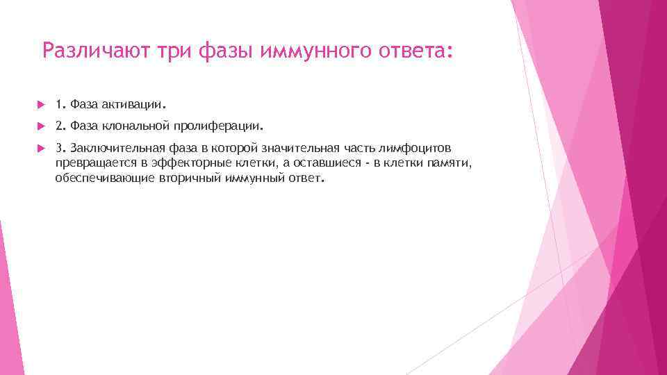 Различают три фазы иммунного ответа: 1. Фаза активации. 2. Фаза клональной пролиферации. 3. Заключительная