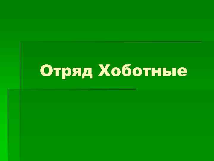 Отряд Хоботные 