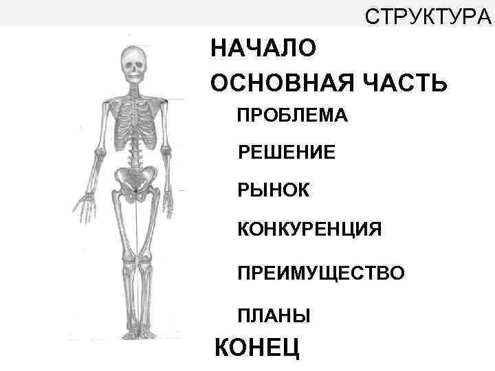 СТРУКТУРА НАЧАЛО ОСНОВНАЯ ЧАСТЬ ПРОБЛЕМА РЕШЕНИЕ РЫНОК КОНКУРЕНЦИЯ ПРЕИМУЩЕСТВО ПЛАНЫ КОНЕЦ 