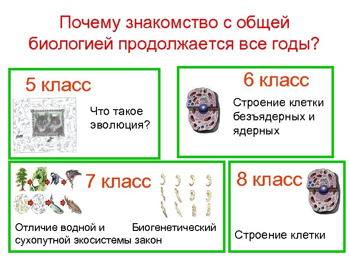 Почему знакомство с общей биологией продолжается все годы? 5 класс Что такое эволюция? 7