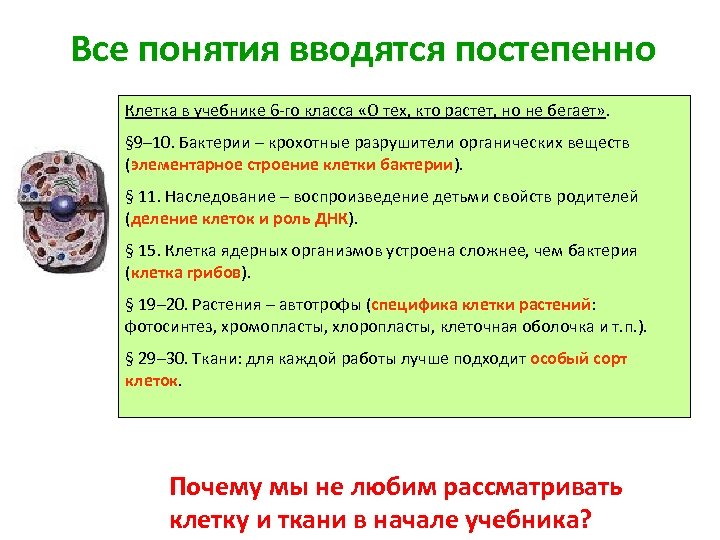 Все понятия вводятся постепенно Клетка в учебнике 6 -го класса «О тех, кто растет,