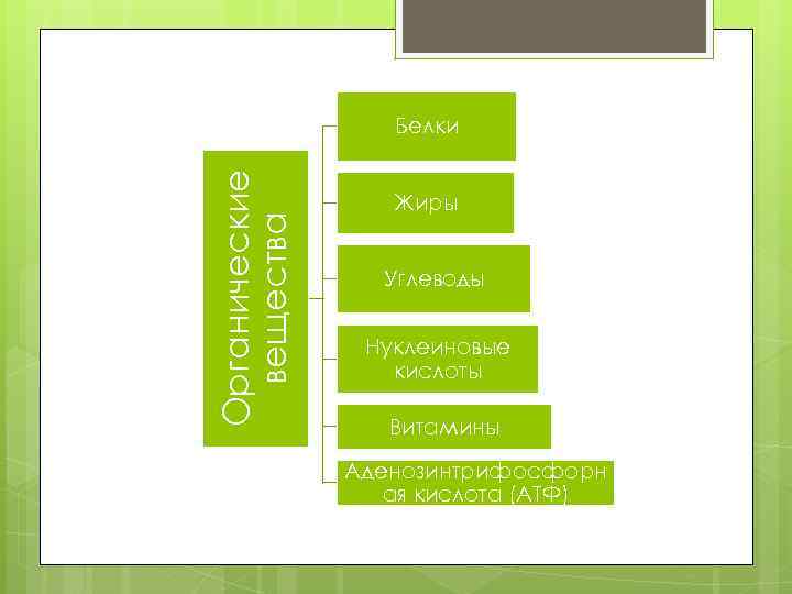 Органические вещества Белки Жиры Углеводы Нуклеиновые кислоты Витамины Аденозинтрифосфорн ая кислота (АТФ) 