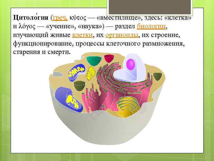 Цитоло гия (греч. κύτος — «вместилище» , здесь: «клетка» и λόγος — «учение» ,