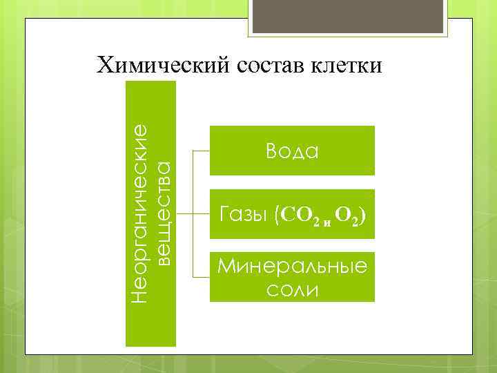 Неорганические вещества Химический состав клетки Вода Газы (CO 2 и O 2) Минеральные соли