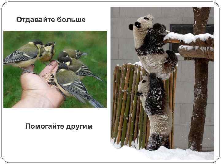 Отдавайте больше Помогайте другим 