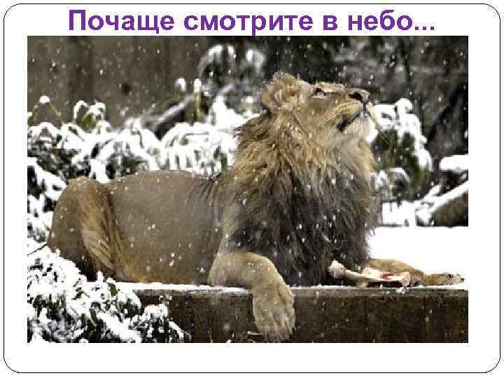 Почаще смотрите в небо. . . 