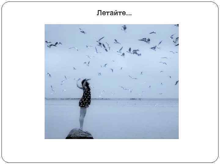 Летайте. . . 