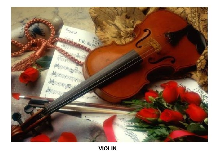 VIOLIN 