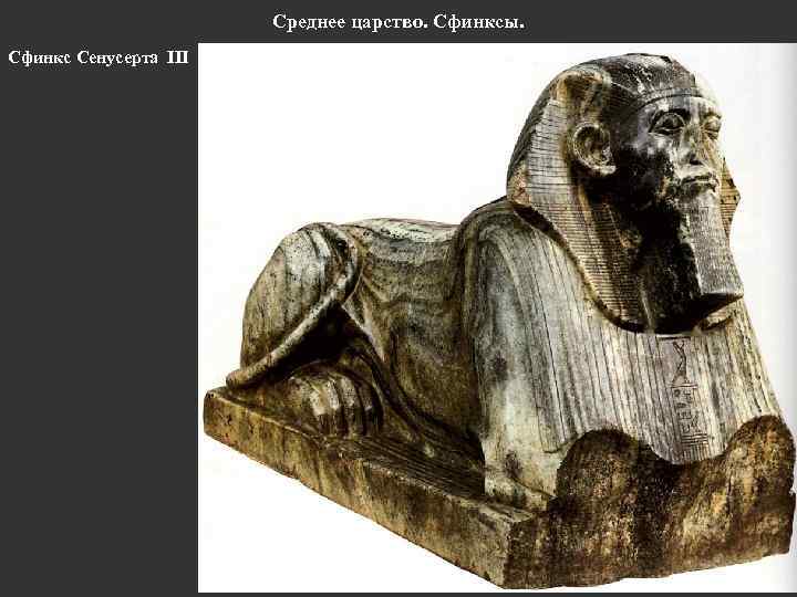 Среднее царство. Сфинксы. Сфинкс Сенусерта III 