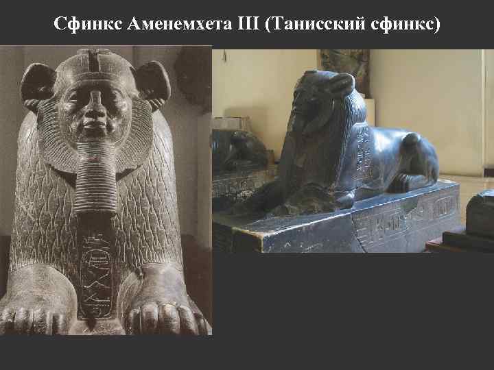 Сфинкс Аменемхета III (Танисский сфинкс) 
