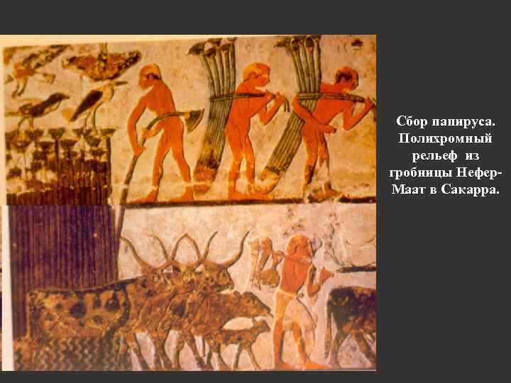 Сбор папируса. Полихромный рельеф из гробницы Нефер. Маат в Сакарра. 