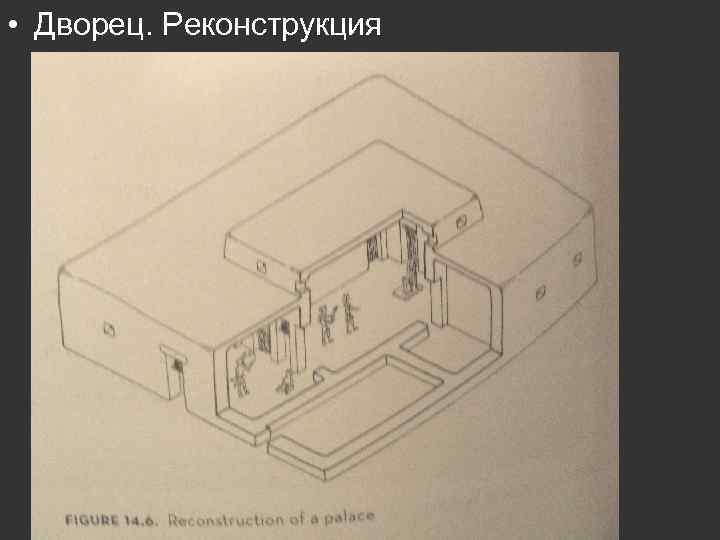  • Дворец. Реконструкция 