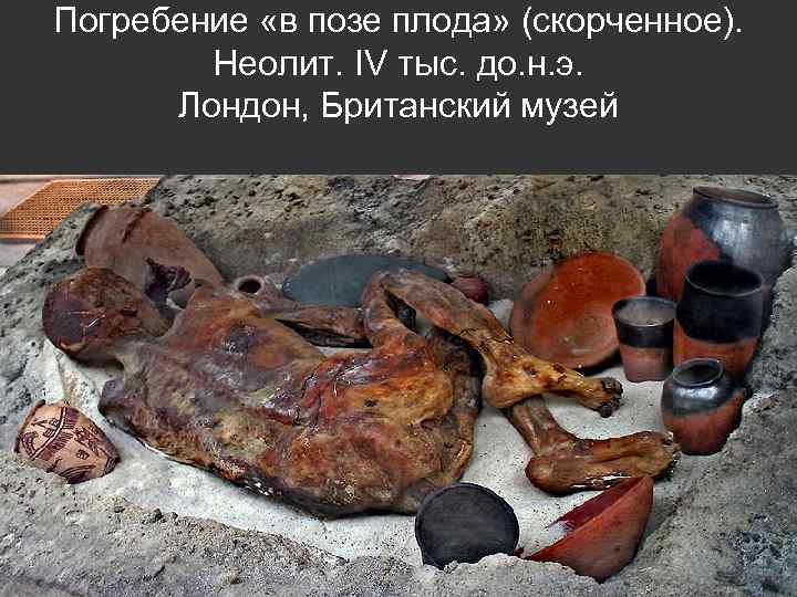 Погребение «в позе плода» (скорченное). Неолит. IV тыс. до. н. э. Лондон, Британский музей