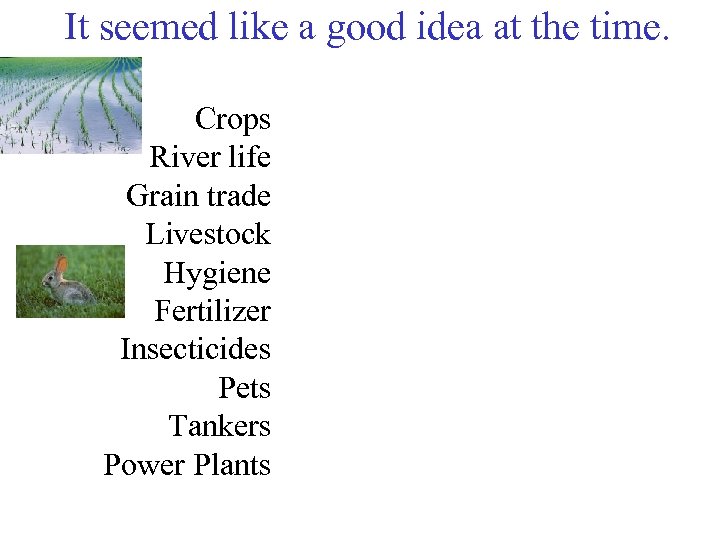 It seemed like a good idea at the time. Crops River life Grain trade