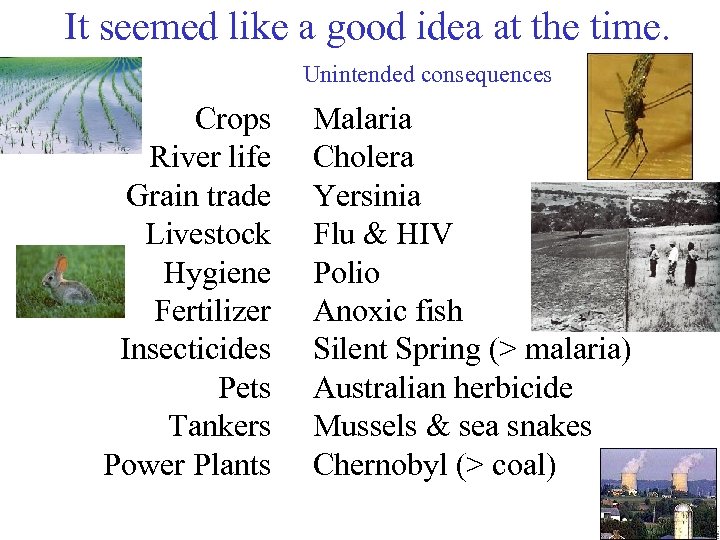 It seemed like a good idea at the time. Unintended consequences Crops River life