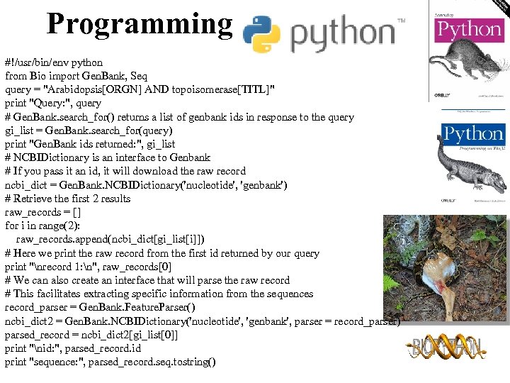Programming #!/usr/bin/env python from Bio import Gen. Bank, Seq query = 