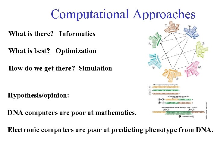 Computational Approaches What is there? Informatics What is best? Optimization How do we get