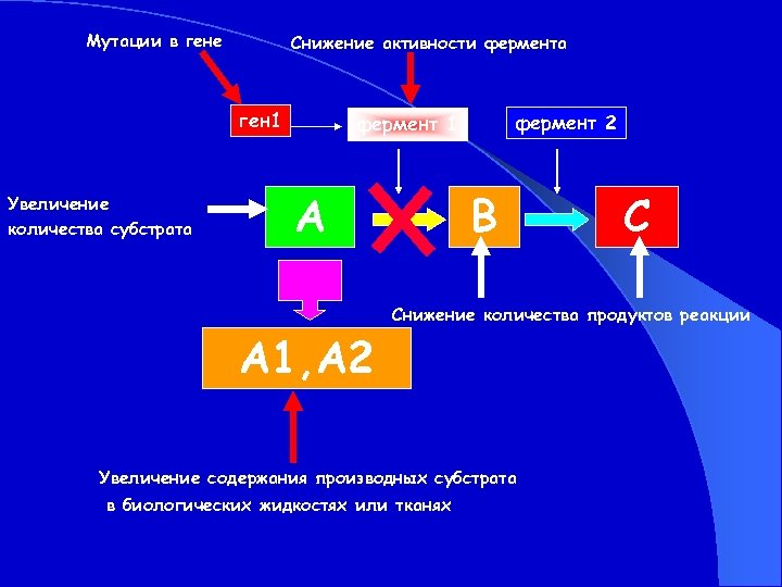 Мутации в гене Снижение активности фермента ген 1 Увеличение количества субстрата фермент 2 фермент
