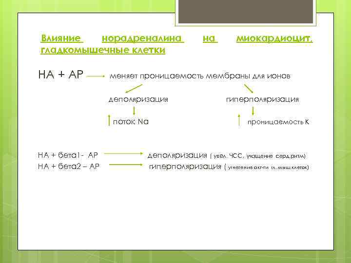 Влияние норадреналина гладкомышечные клетки НА + АР миокардиоцит, меняет проницаемость мембраны для ионов деполяризация